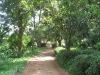 Entrance to Cottage